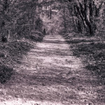 image: Image from the photoset &lsquo;terres rouges (xxiv)&rsquo;.