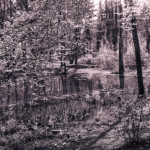 image: Image from the photoset &lsquo;terres rouges (xxiv)&rsquo;.