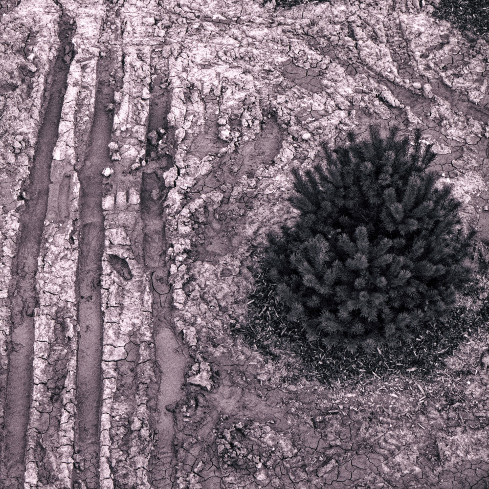 image: This is &lsquo;texture (v) 1&rsquo;.