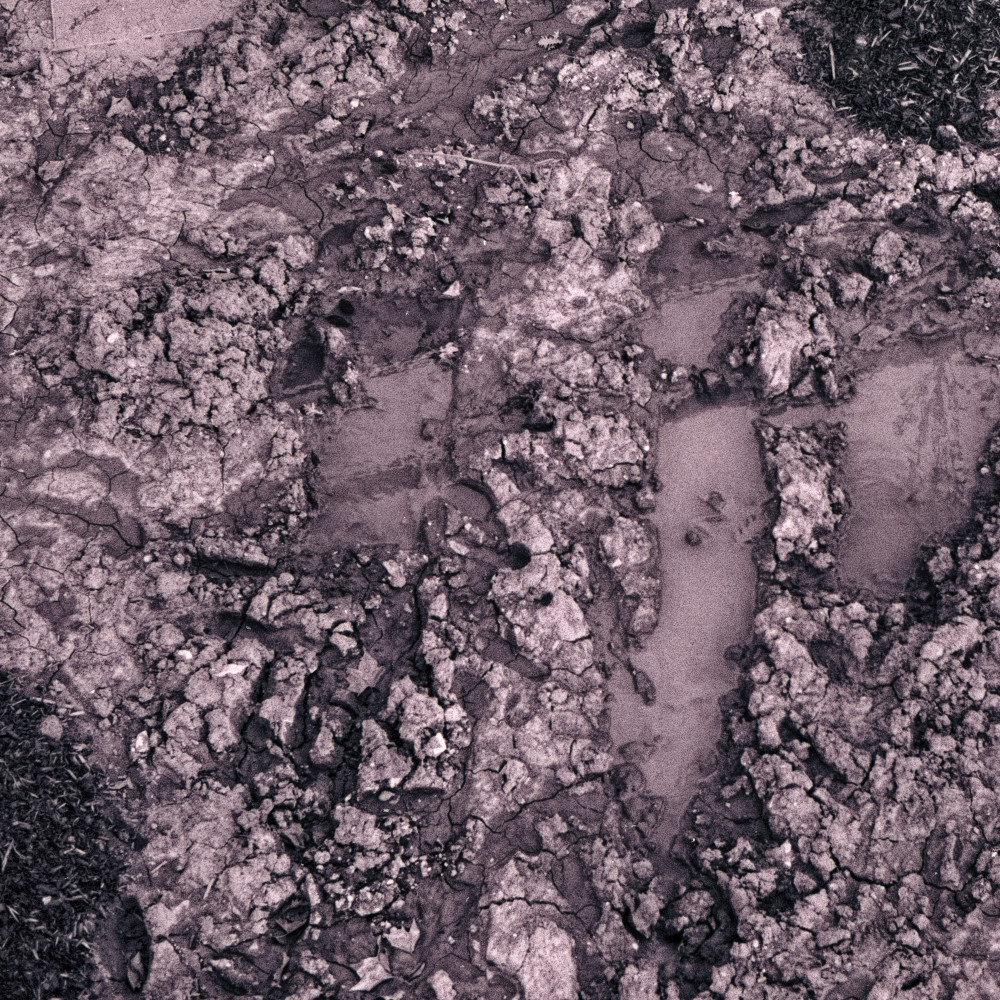 image: This is &lsquo;texture (v) 4&rsquo;.