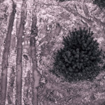 image: Image from the photoset &lsquo;texture (v)&rsquo;.