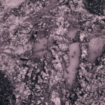 image: Image from the photoset &lsquo;texture (v)&rsquo;.