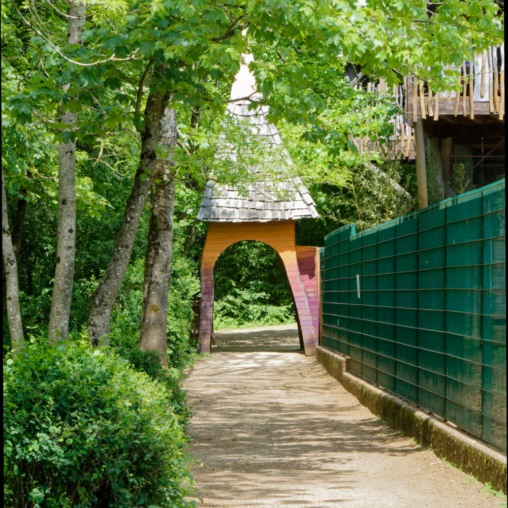 image: This is &lsquo;esch/uelzecht (xliv) 1&rsquo;.