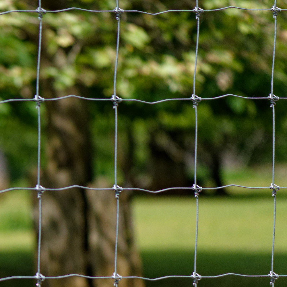 image: This is &lsquo;esch/uelzecht (xliv) 3&rsquo;.