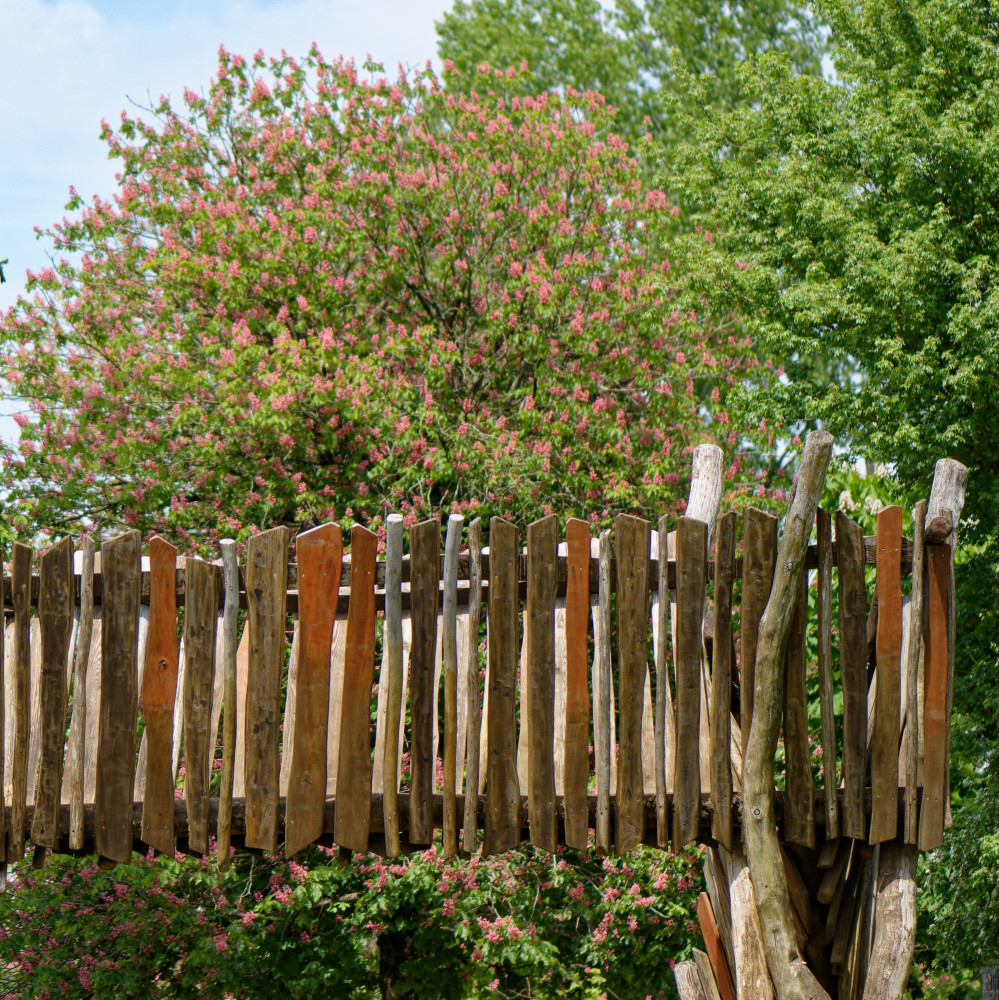 image: This is &lsquo;esch/uelzecht (xliv) 4&rsquo;.