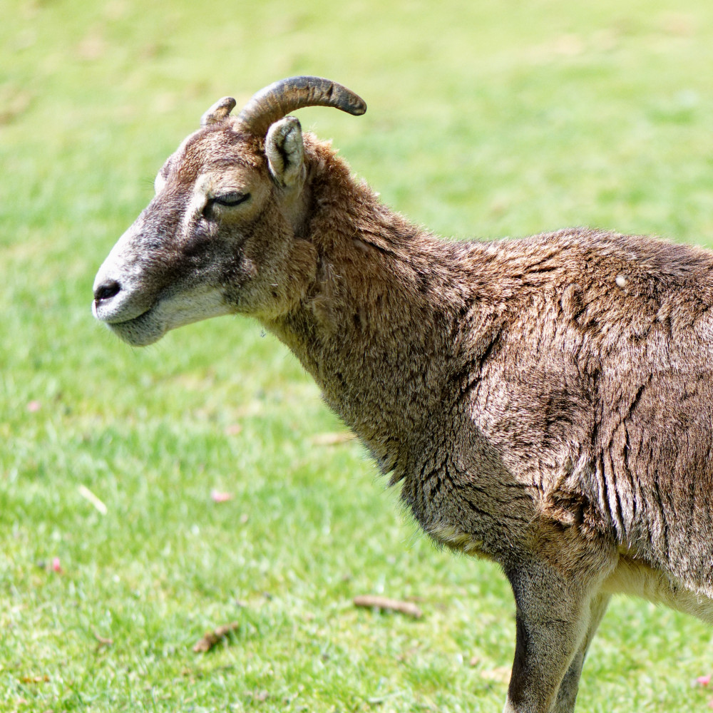 image: This is &lsquo;esch/uelzecht (xliv) 5&rsquo;.