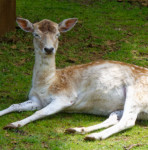 image: Image from the photoset &lsquo;esch/uelzecht (xliv)&rsquo;.