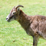 image: Image from the photoset &lsquo;esch/uelzecht (xliv)&rsquo;.