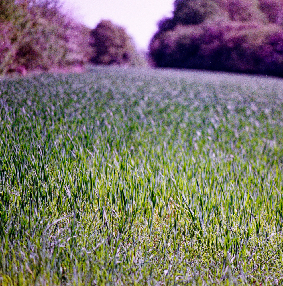 image: This is &lsquo;terres rouges (xxv) 8&rsquo;.