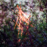 image: terres rouges