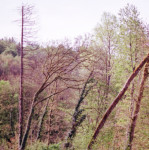 image: Image from the photoset &lsquo;terres rouges (xxv)&rsquo;.