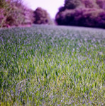 image: Image from the photoset &lsquo;terres rouges (xxv)&rsquo;.