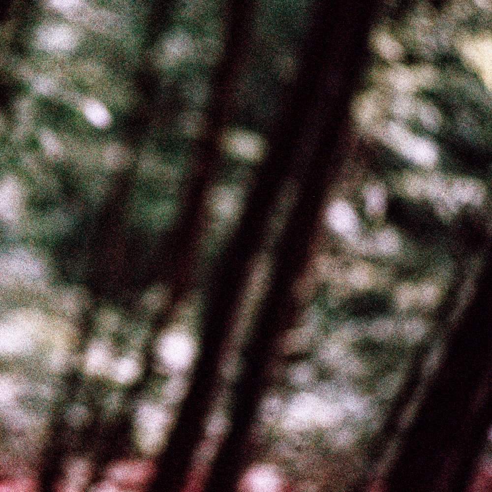 image: This is &lsquo;terres rouges (xxvi) 2&rsquo;.