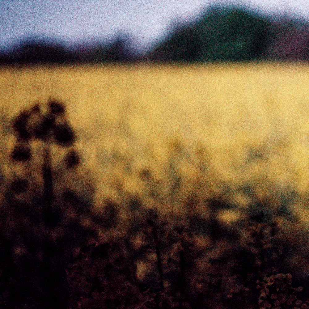 image: This is &lsquo;terres rouges (xxvi) 5&rsquo;.