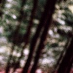 image: Image from the photoset &lsquo;terres rouges (xxvi)&rsquo;.