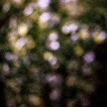 image: Image from the photoset &lsquo;terres rouges (xxvi)&rsquo;.