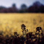 image: Image from the photoset &lsquo;terres rouges (xxvi)&rsquo;.