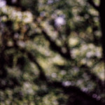 image: Image from the photoset &lsquo;terres rouges (xxvi)&rsquo;.