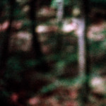 image: Image from the photoset &lsquo;terres rouges (xxvi)&rsquo;.