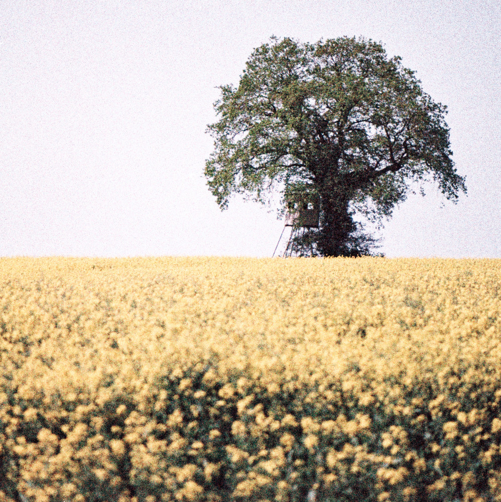 image: This is &lsquo;terres rouges (xxvii) 3&rsquo;.