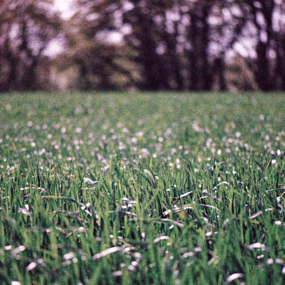 image: This is &lsquo;terres rouges (xxvii) 4&rsquo;.