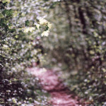 image: Image from the photoset &lsquo;terres rouges (xxvii)&rsquo;.