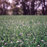 image: Image from the photoset &lsquo;terres rouges (xxvii)&rsquo;.