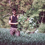 image: Image from the photoset &lsquo;terres rouges (xxvii)&rsquo;.