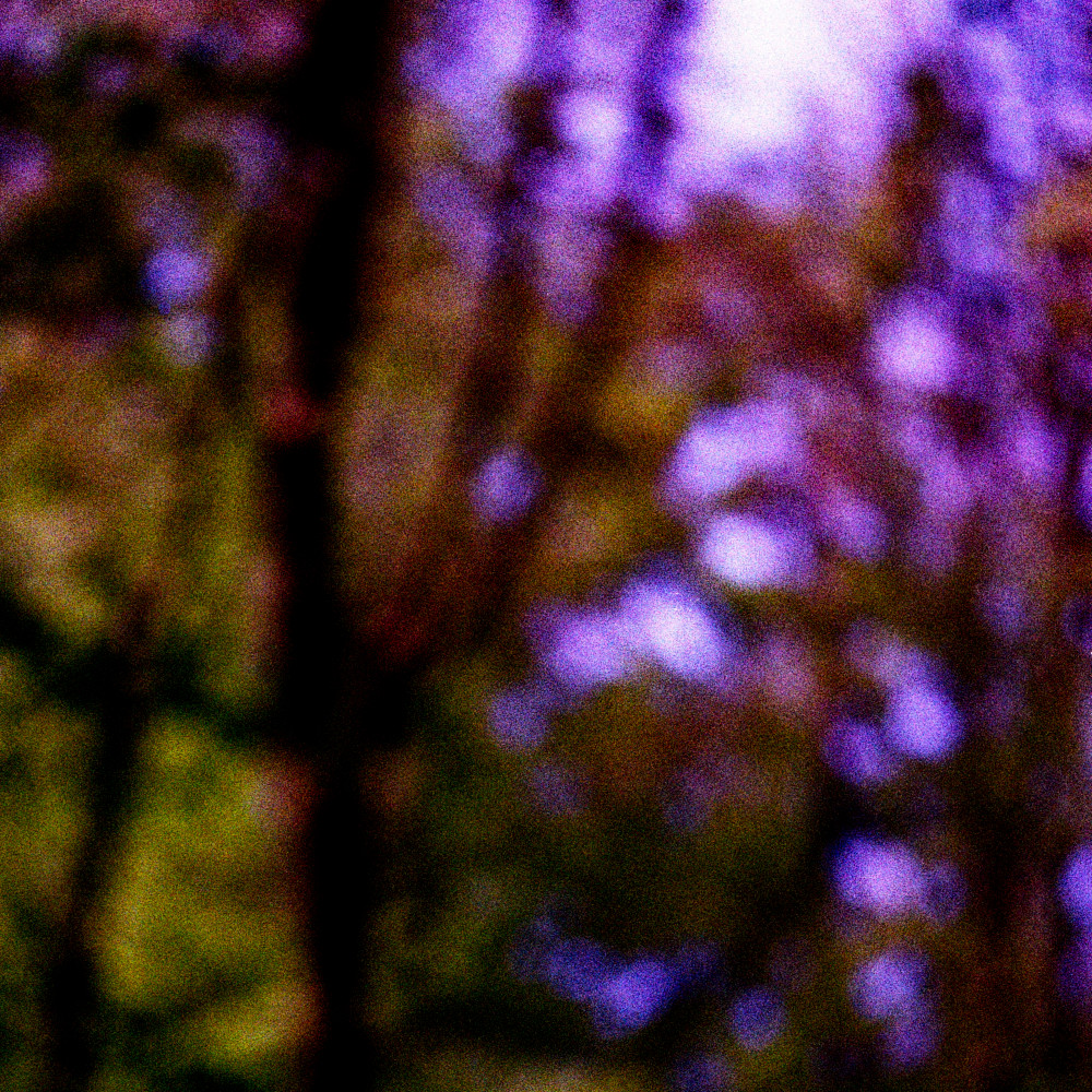 image: This is &lsquo;terres rouges (xxviii) 1&rsquo;.