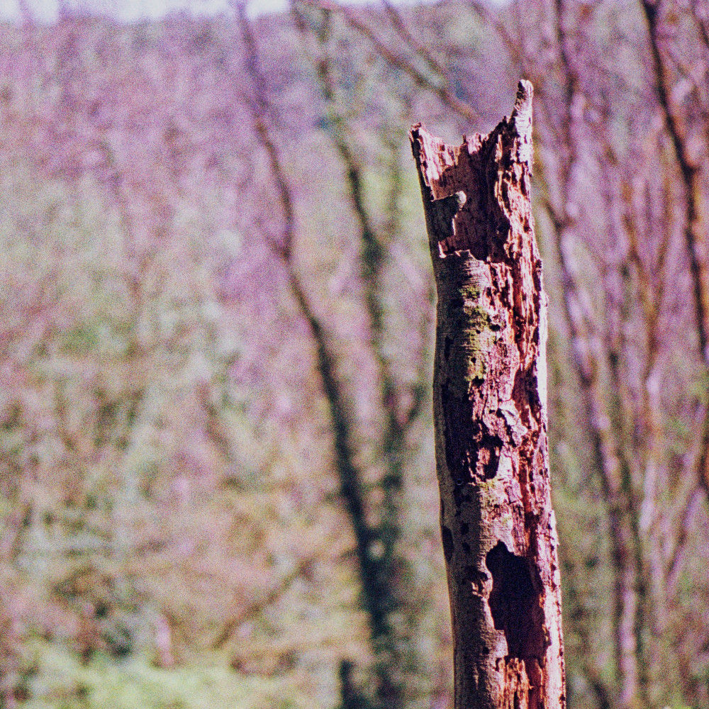 image: This is &lsquo;terres rouges (xxviii) 2&rsquo;.