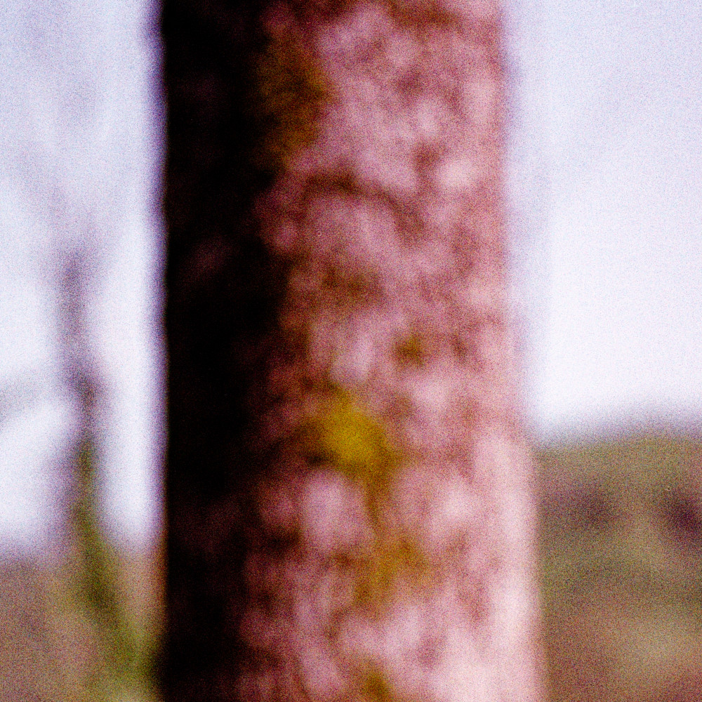 image: This is &lsquo;terres rouges (xxviii) 3&rsquo;.