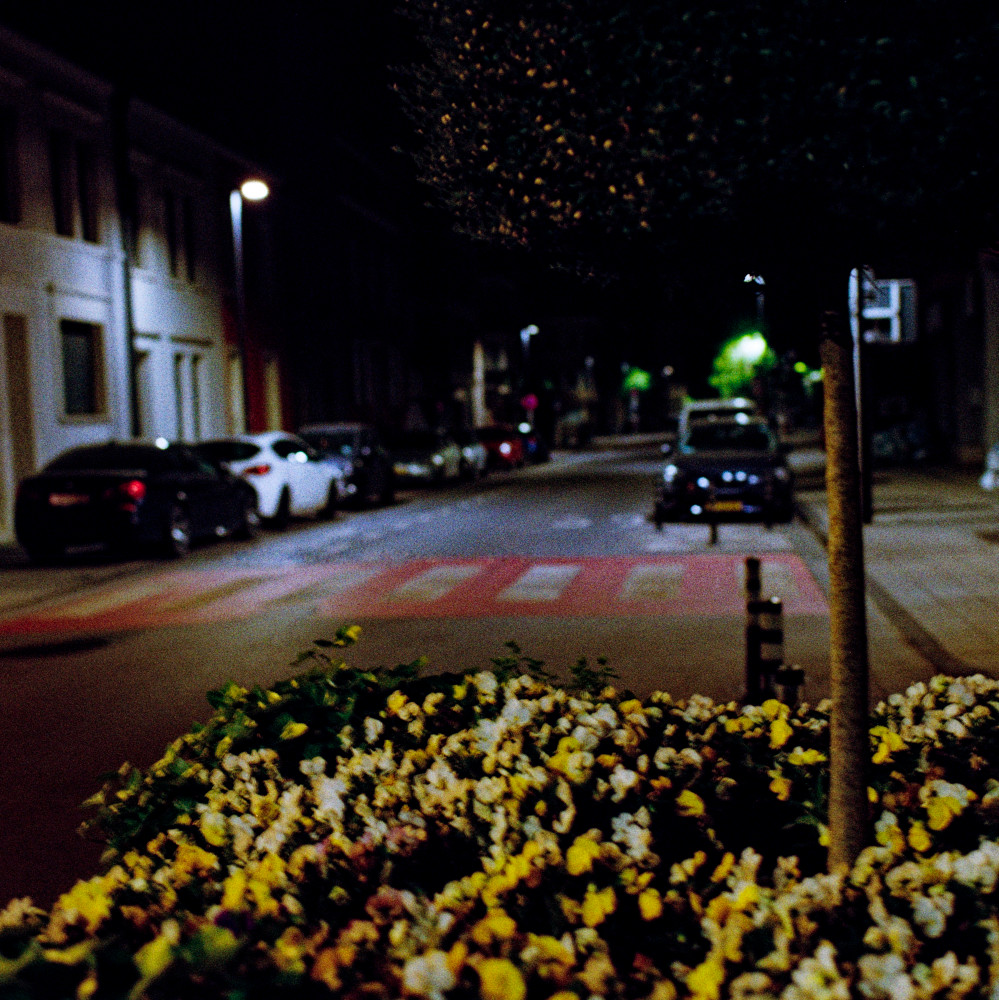 image: This is &lsquo;esch/uelzecht (xlv) 1&rsquo;.