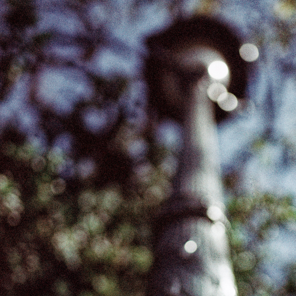 image: This is &lsquo;paris (xxi) 4&rsquo;.