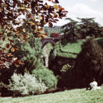 image: Image from the photoset &lsquo;paris (xxi)&rsquo;.