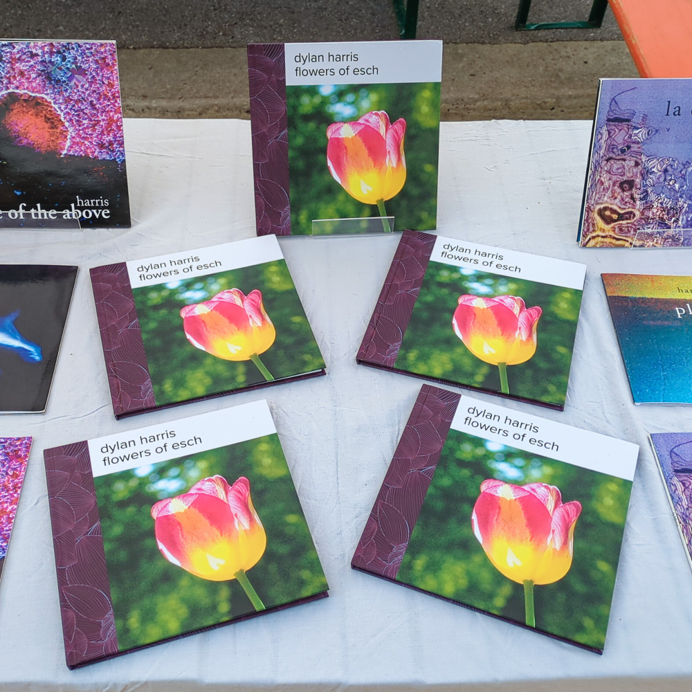 image: This is &lsquo;konscht am gronn (v) 5&rsquo;.