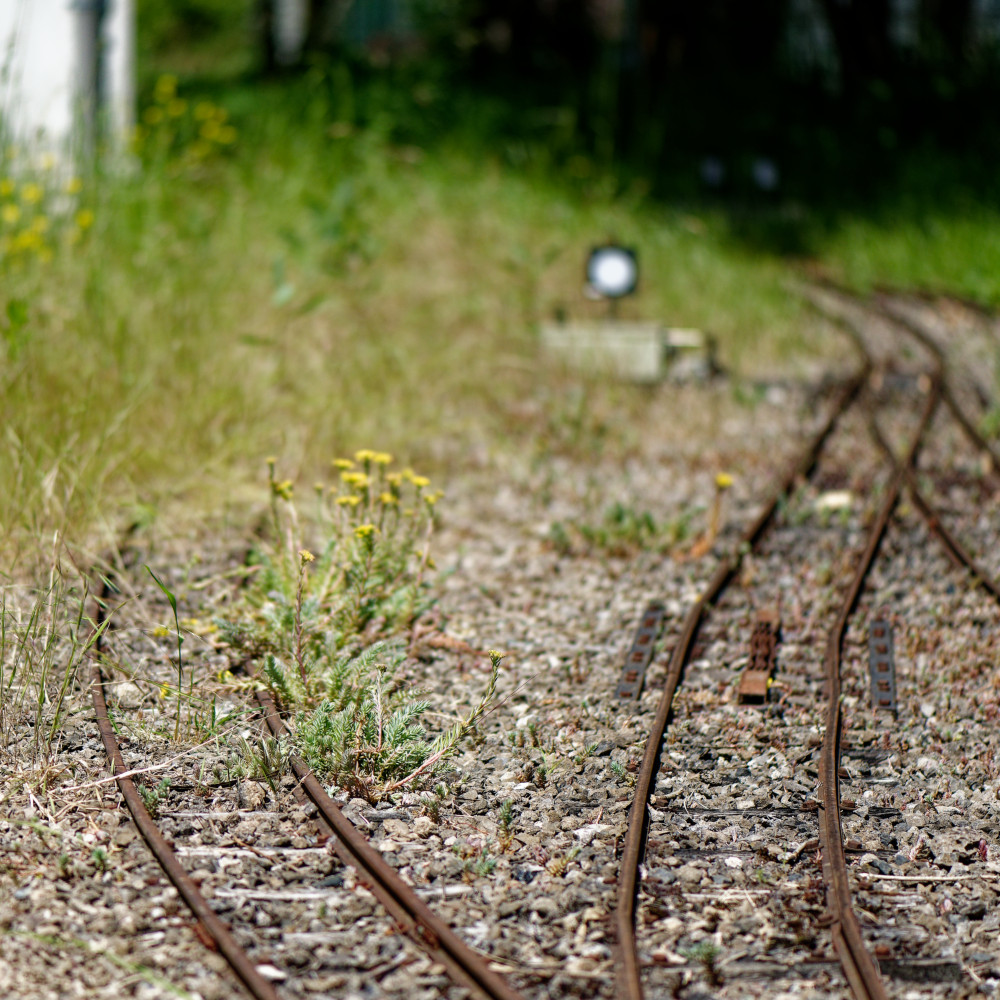 image: This is &lsquo;esch/uelzecht (xlvi) 6&rsquo;.