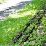 image: Image from the photoset &lsquo;esch/uelzecht (xlvi)&rsquo;.