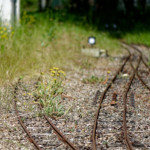 image: Image from the photoset &lsquo;esch/uelzecht (xlvi)&rsquo;.