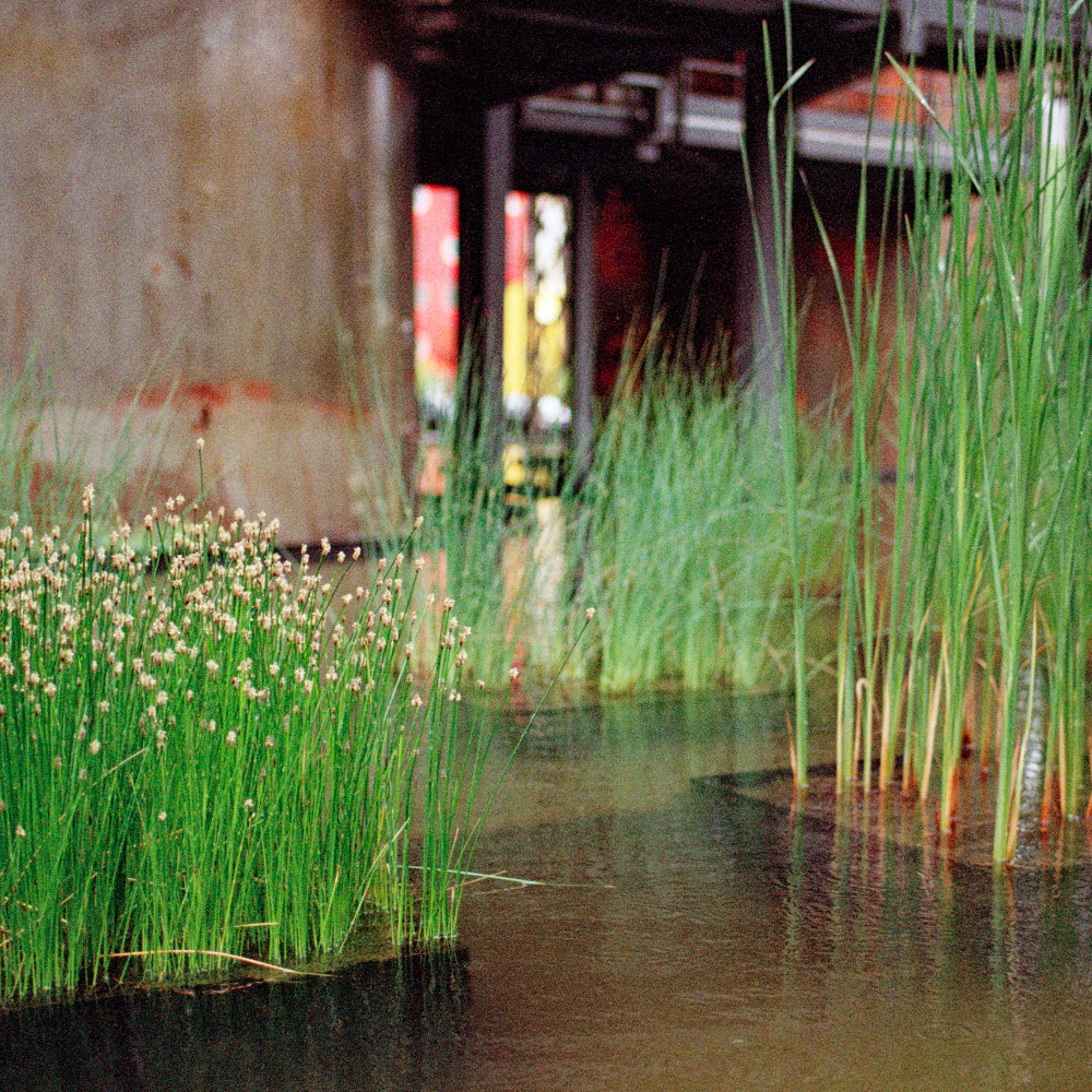 image: This is &lsquo;esch/uelzecht (xlvii) 2&rsquo;.