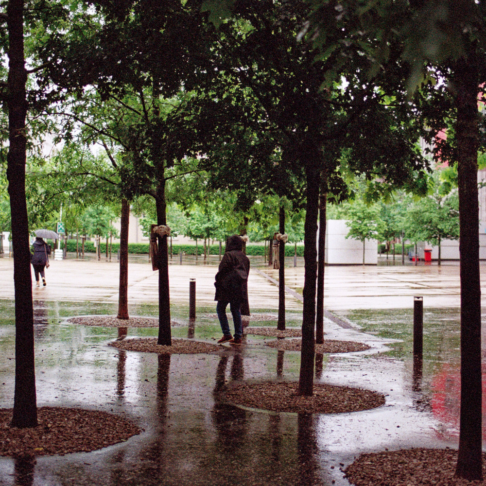 image: This is &lsquo;esch/uelzecht (xlvii) 4&rsquo;.