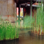 image: Image from the photoset &lsquo;esch/uelzecht (xlvii)&rsquo;.