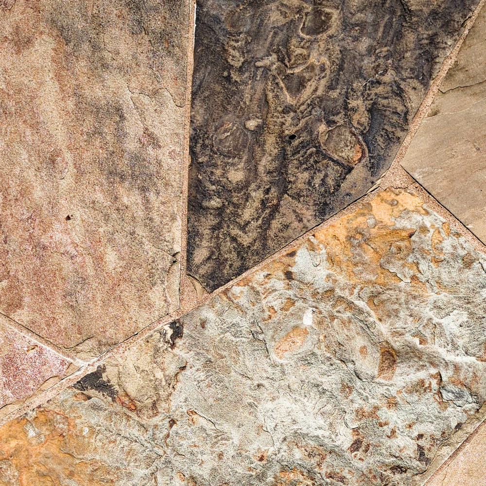 image: This is &lsquo;texture (vi) 4&rsquo;.