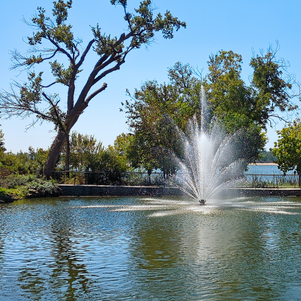 image: This is &lsquo;dallas (ii) 1&rsquo;.