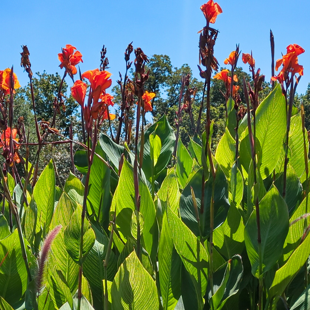 image: This is &lsquo;dallas (ii) 3&rsquo;.