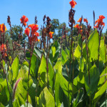 image: Image from the photoset &lsquo;dallas (ii)&rsquo;.