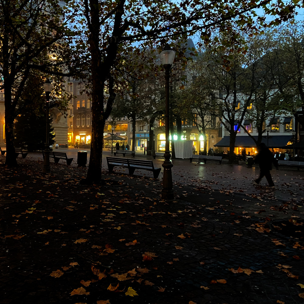 image: This is &lsquo;luxembourg (xiv) 1&rsquo;.