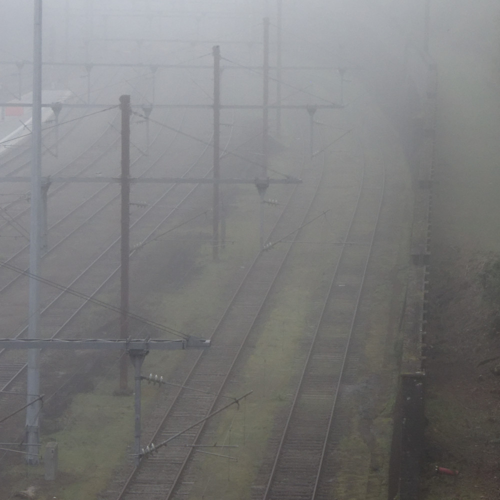 image: This is &lsquo;esch/uelzecht (xlviii) 1&rsquo;.