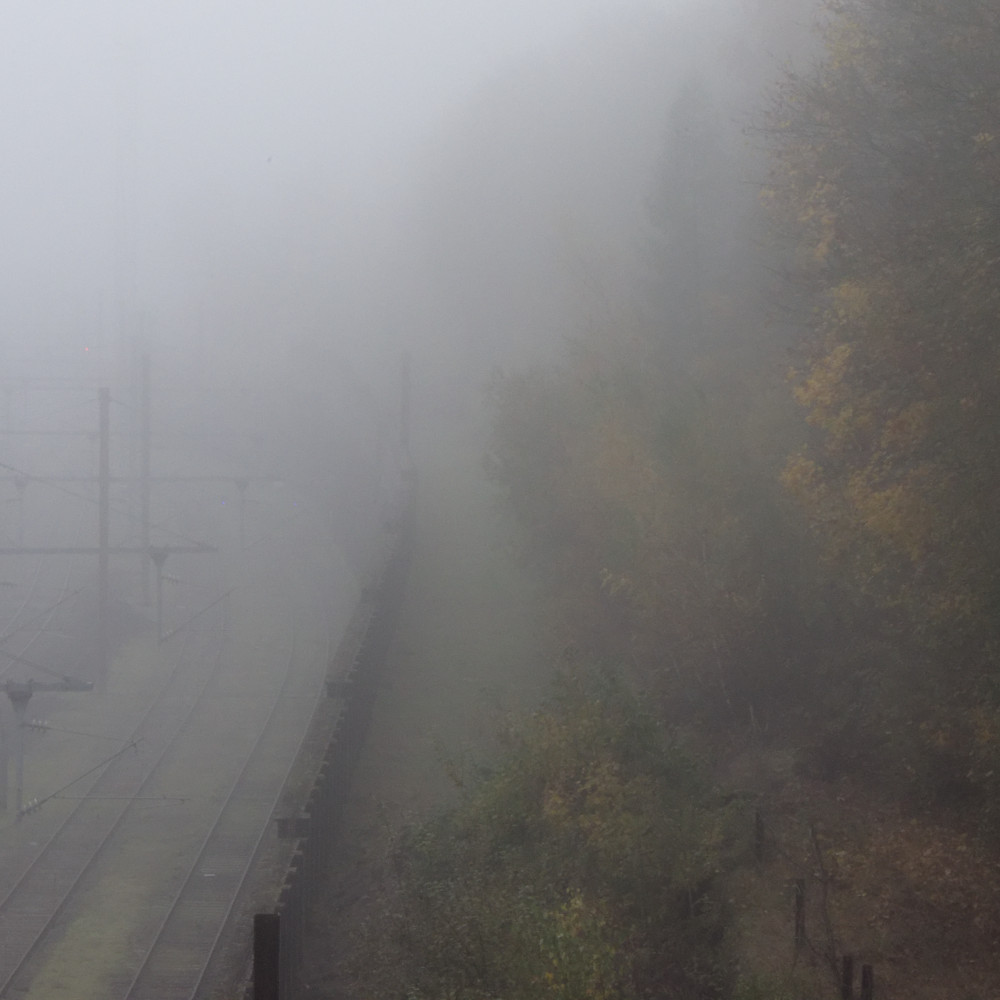 image: This is &lsquo;esch/uelzecht (xlviii) 2&rsquo;.