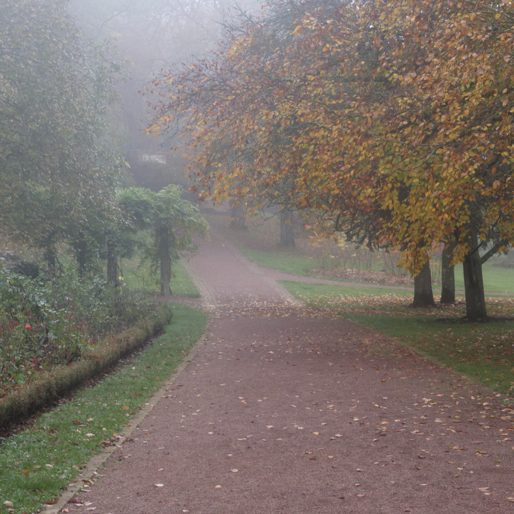 image: This is &lsquo;esch/uelzecht (xlviii) 5&rsquo;.