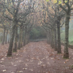 image: Image from the photoset &lsquo;esch/uelzecht (xlviii)&rsquo;.